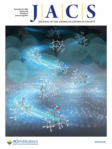 Journal of the American Chemical Society (2020)