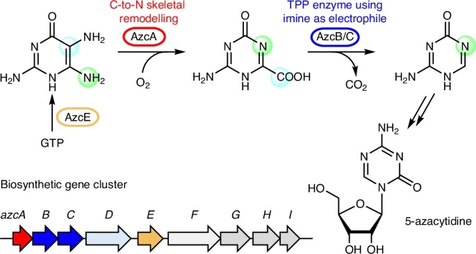 Nature_Catalysis