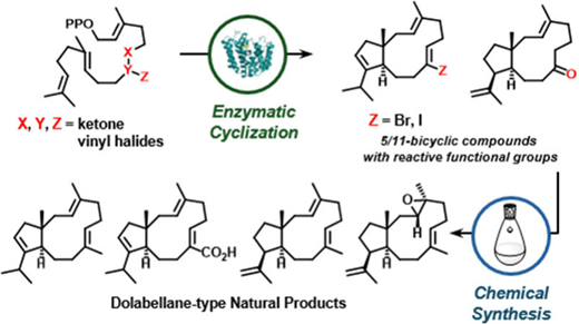 Nature_Catalysis